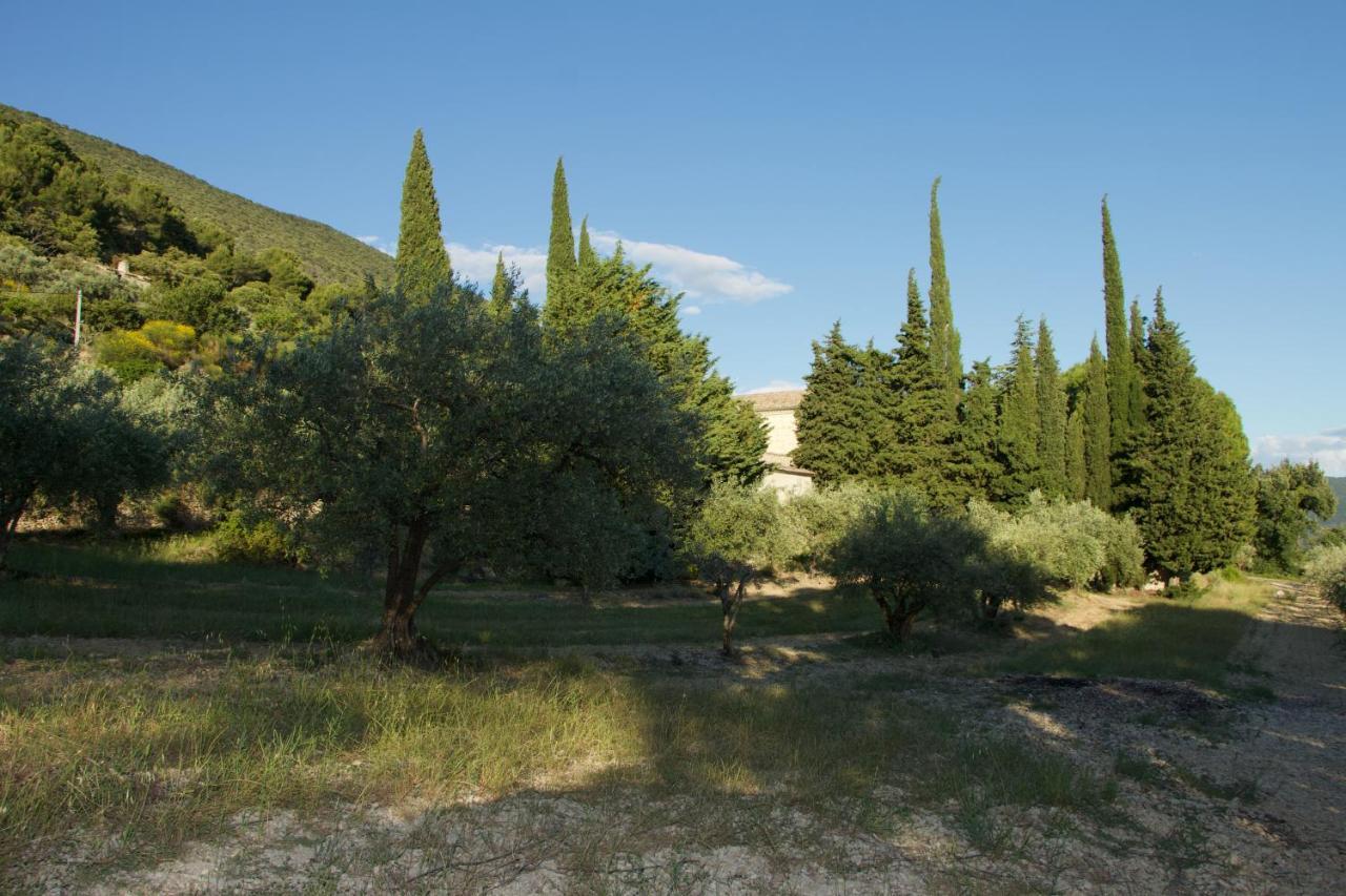 Mas Provencal La Serallere Au Coeur Des Oliviers Venterol  Exterior foto